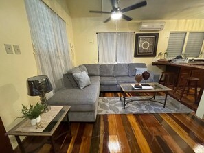 Pull-out sofa-bed if needed. Super cold brand new AC too.