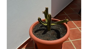 Außendetails