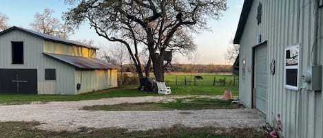 Sunset / horse barn