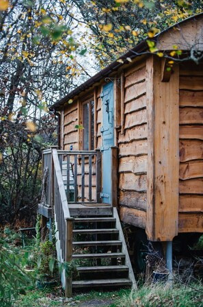 Plant, Property, Wood, Stairs, Vegetation, Door, Biome, Cottage, Window, Tree