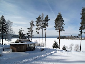 Tree, Winter, Branch, Snow, Freezing, Hill Station, Larch, Evergreen, Log Cabin