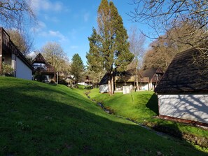 Terrain de l’hébergement 