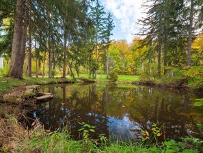 The perfect place for family and friends looking for a break from the busy city life, and enjoy nature and the outdoors!