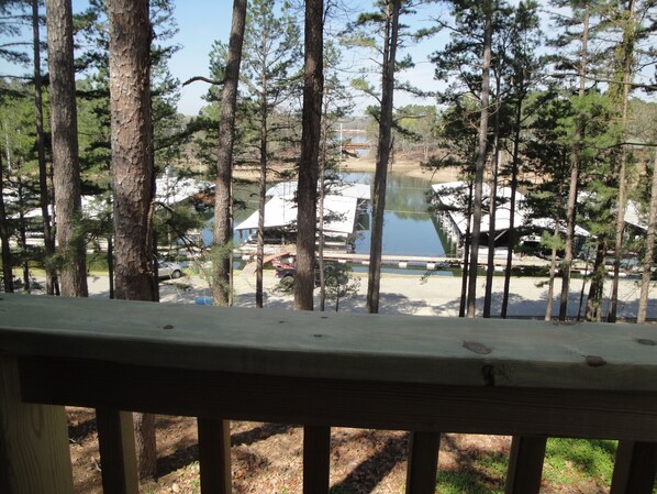 Tree, Railing, Tree Trunk, Nature, Outdoors