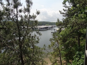 Tree, Nature, Outdoors, Scenery, Water