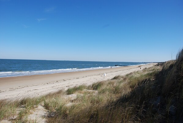 Beach, Coast, Nature, Outdoors, Sea