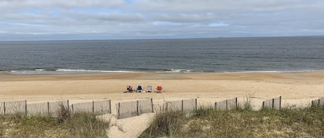 "Beach","Coast","Nature","Outdoors","Sea"