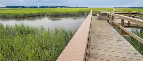 Private dock leads to seemingly endless marsh. Brilliant for birdwatchers.

