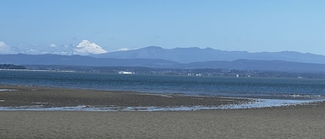 Mount Baker views from your backyard. Sandy beach at low tide.