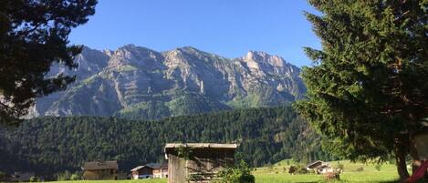 Ausblick vom Ferienhaus zur Kanisfluh