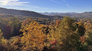 Spectacular Fall Colors at the Altitude Adjustment