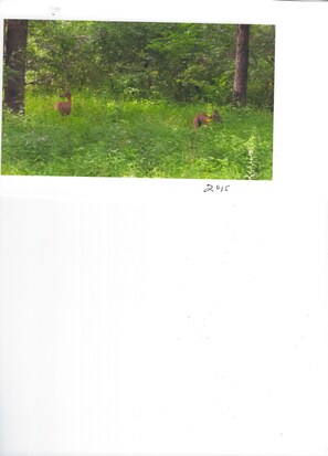 Luftfoto