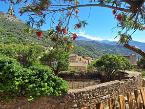 Vue depuis le jardin