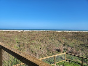 View from Deck