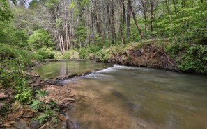 Beautiful North Georgia Cabin Rental that is pet friendly