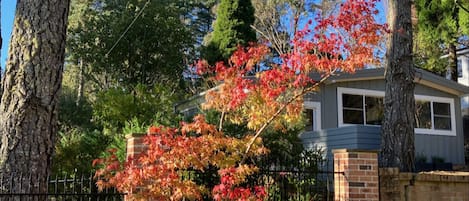 Autumn at Sunflower