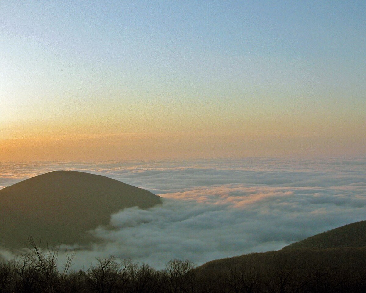 Travelers’ Rest–Your Wintergreen Retreat in the Center of it All!
