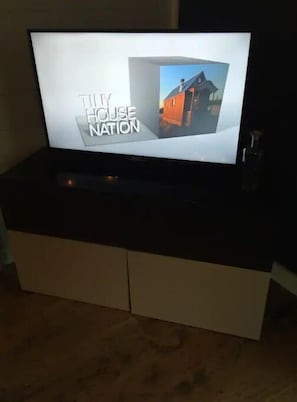 Television