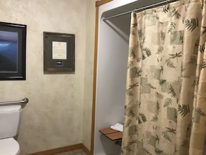 Curtain, Bathroom, Indoors, Room, Toilet