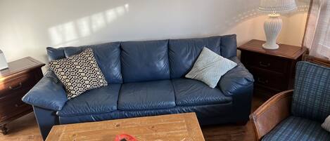 Couch,Furniture,Indoors,Living Room,Lamp