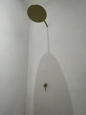 Douche de la salle de bain