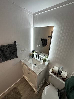 Main Floor Bathroom