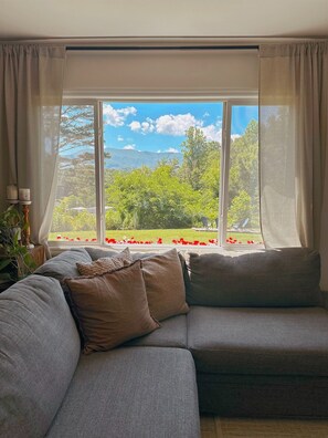 living room mountain view (upstairs)