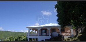 Parking/entrance view of the villa - displaying fruit trees