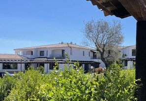 Facciata della struttura