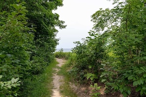 Trail to the beach