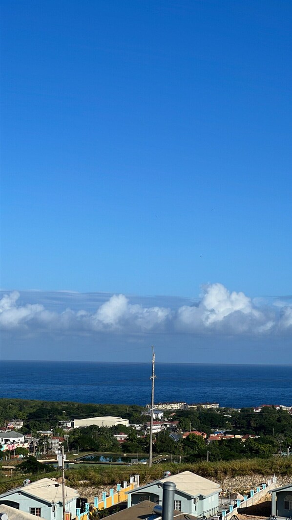 Beach/ocean view
