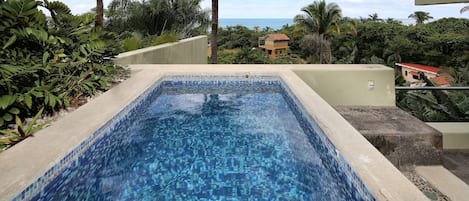 Guest House Plunge Pool with ocean view