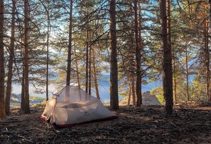 camping into woods by lake
