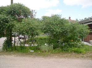Ulkoalueet