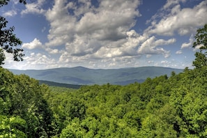 Hummingbird Haven - Near Fort Mountain State Park