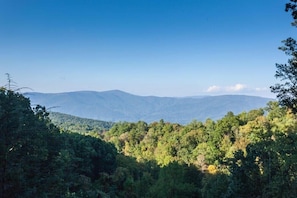 Hummingbird Haven - Blue Ridge Mountains