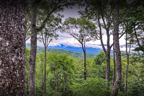 Incredible Views of the North Georgia Mountains