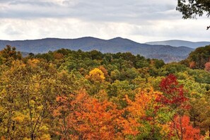 Wakin' On A Pretty Day  - Blue Ridge Georgia Fall Mountain View