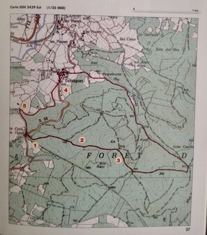 Property map