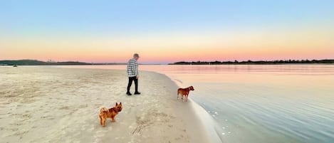 Strand