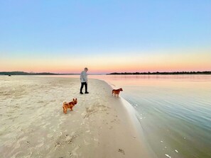 Just steps from Lazy Days on Shaws Bay - The Spit Dog Beach