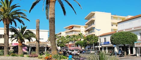 Ciel, Plante, Bâtiment, Jour, Propriété, Bleu Azur, Arbre, Végétation, Arecales, Architecture