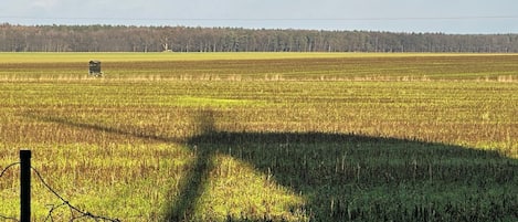 Alte Müllerswohnung bei der Windmühle