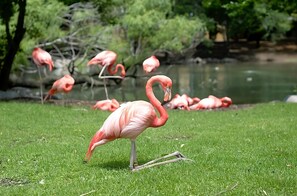 Milwaukee County Zoo