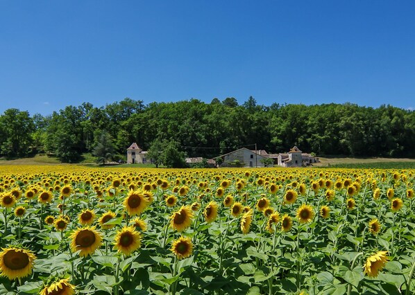 The gite is on the far right hand side of our property, with the pigeonaire.