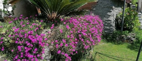 Jardines del alojamiento