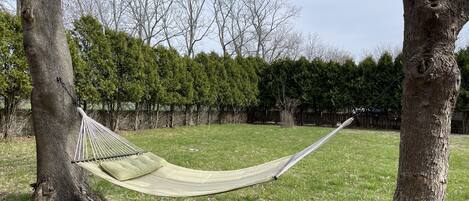 The private quiet backyard with hammock.
