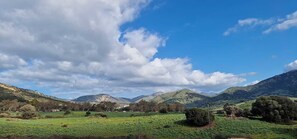 Terrain de l’hébergement 