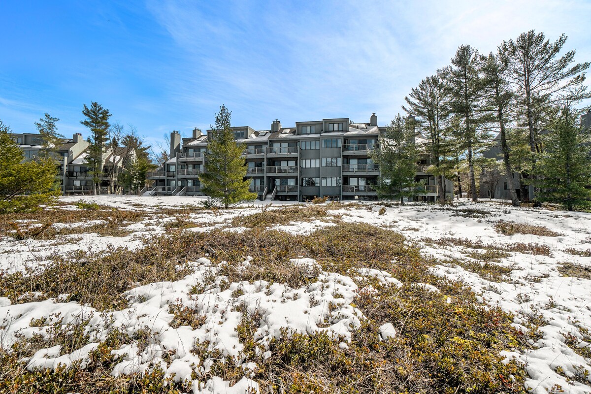 Lakefront condo with deck, gorgeous view, fireplace, & W/D