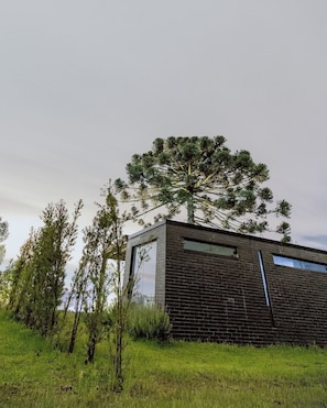 Exteriör